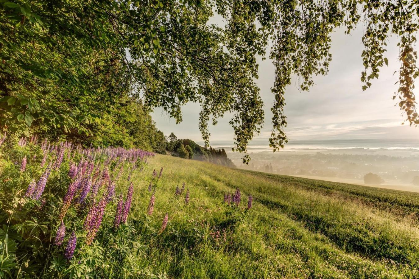 Wellness Apartmany Cesky Raj & Biokolna Lomnice nad Popelkou Exteriör bild